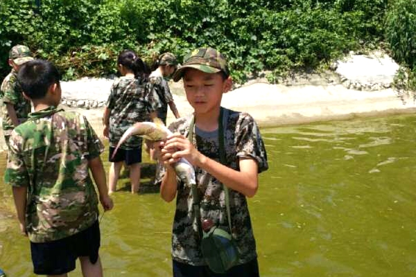 雁江夏令营抓泥鳅活动